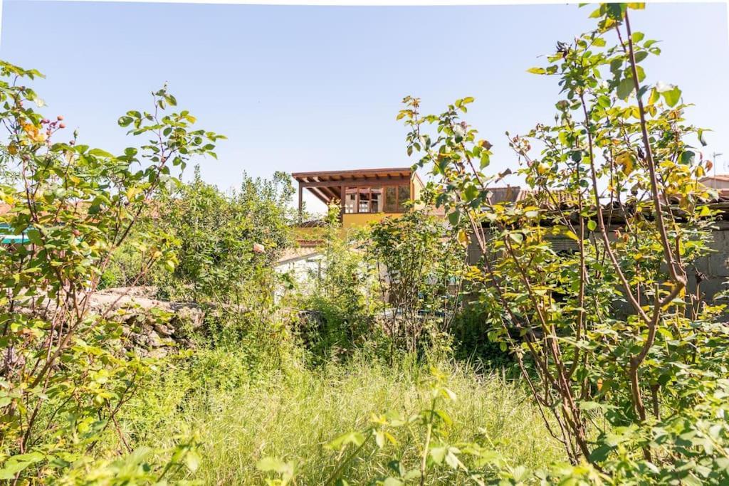 Casa La Vera Rural Talaveruela المظهر الخارجي الصورة